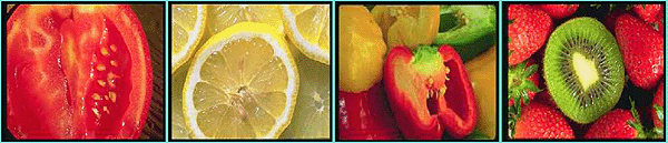 Seeds of tomatos, lemons, peppers, and kiwi