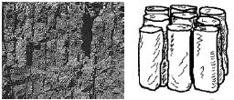 Illustration of prismatic soil structure.