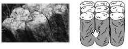 Illustration of columnar soil structure.