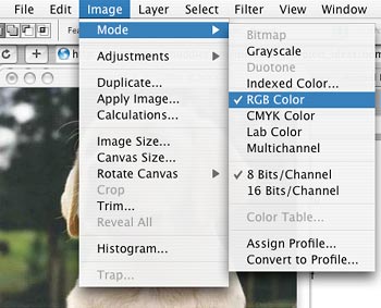 How to use Photoshop