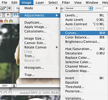 How to use Photoshop