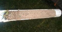 Soil is dry on top and dry below.