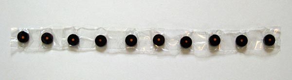 DNA sequence 
Biotechnology science project