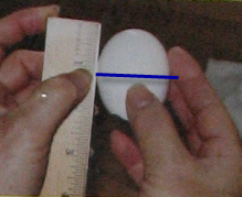 measuring an eggshell for cutting
