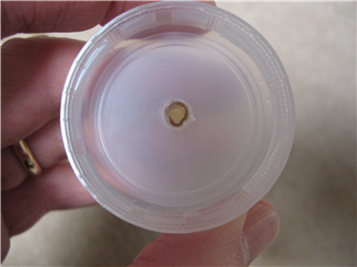 aquarium tubing press-fit into drilled hole in bottle cap