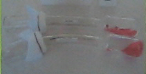 ant repellent test apparatus