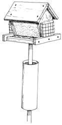 hopper feeder (Project FeederWatch, 2007)