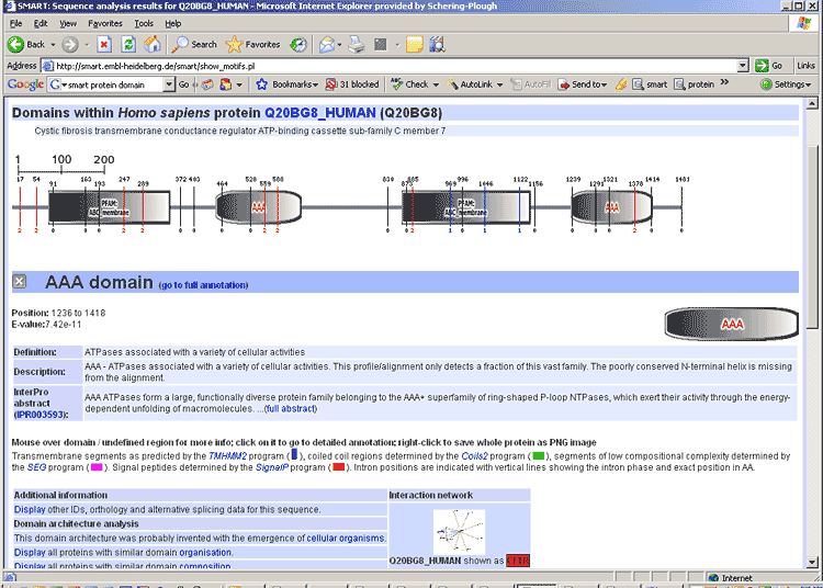 NCBI