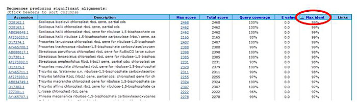 Genomics Science Project BLAST screenshot