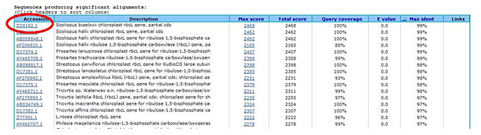 Genomics Science Project BLAST screenshot