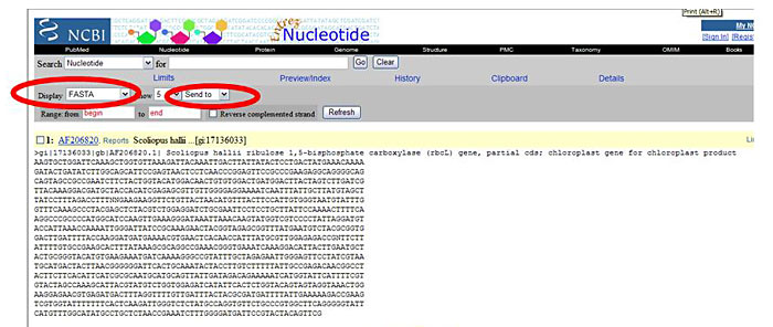 Genomics Science Project BLAST screenshot