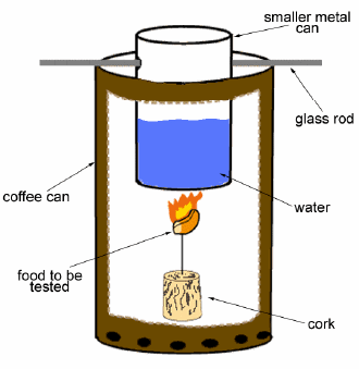 www.sciencebuddies.org