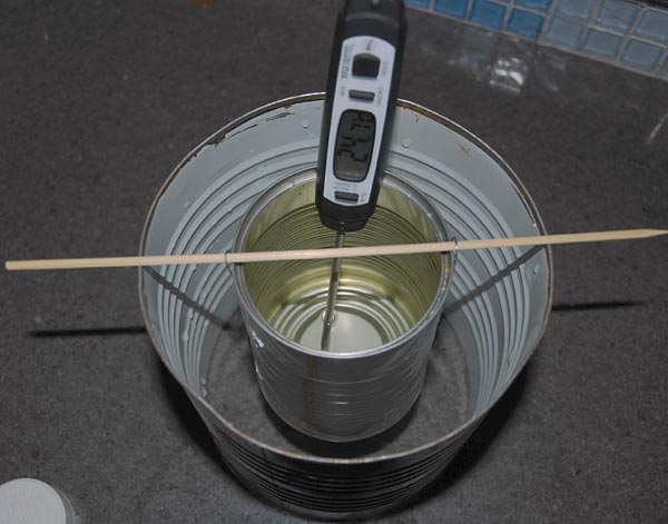 Food Science project top down view of homemade calorimeter
