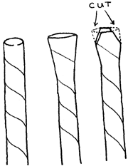 Forming the 'reed' end of a straw 'oboe.'