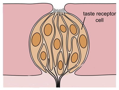 FoodSci_img003.jpg