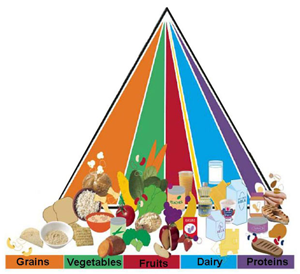 other food group