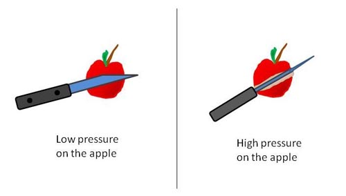 This drawing shows two side-by-side images of apples. The apple on the left has the flat side of the knife blade held up to it; while the apple on the right has the edge of the knife blade held up to it which has created a cut in the apple.