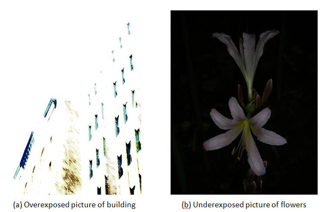 Photography science project <B>Figure 1.</B> 1.a. shows a picture that has been overexposed (exposed to too much light) and 1.b. shows a picture that has been underexposed (exposed to too little light).