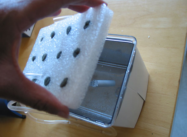 Plant Biology science fair project <B>Figure 2.</B> This image shows the air stone in the culture chamber and the tubing coming out of the larger hole.