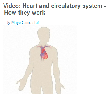 Human Biology science project video from the Mayo Clinic that illustrates what makes your heart tick..