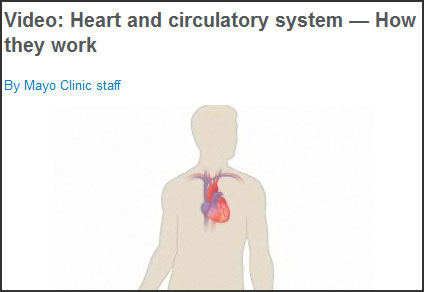 Human Biology project Mayo clinic video showing how the cardiovascular system works.