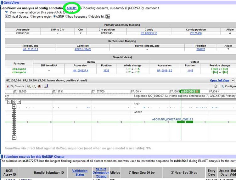 The SNP database page for a given gene allele has a large amount of information.
Medical Biotechnology science project