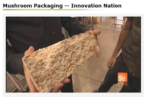 Video on using fungus for packaging materials.