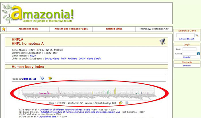 Amazonia! is a microarray database
Medical Biotechnology science project