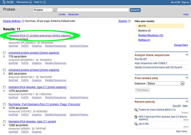 When searching for a protein on the NCBI database, there will be many results. Select the top result with the right protein name that is in humans.
Medical Biotechnology science project