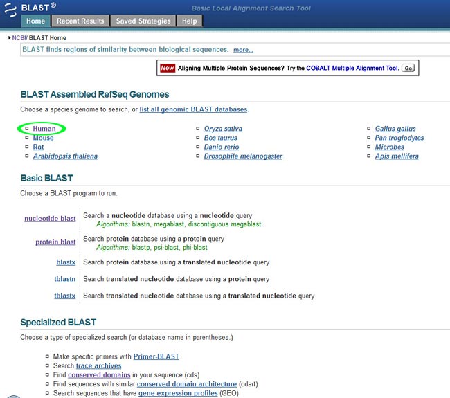 Using the NCBI BLAST website you can find proteins or genes that have a similar sequence to a sequence of interest.
Medical Biotechnology science project