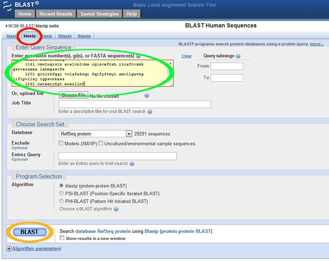 Using the NCBI BLAST tool, you can submit an amino acid sequence and find proteins that have a similar sequence.
Medical Biotechnology science project