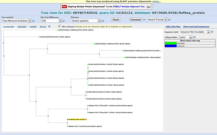 You can view NCBI BLAST results graphically by using the distance tree tool, which is expanded here to show all of the protein names on the branches.
Medical Biotechnology science project