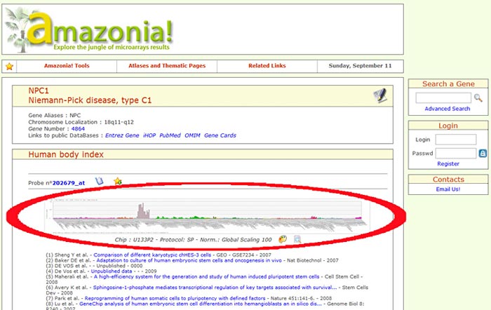 You can search amazonia!, a microarray database, for the NPC1 protein and find graphs that show which tissues express NPC1 and at what levels it is expressed.
Medical Biotechnology science project