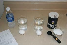 Why does salt make an egg float in water?