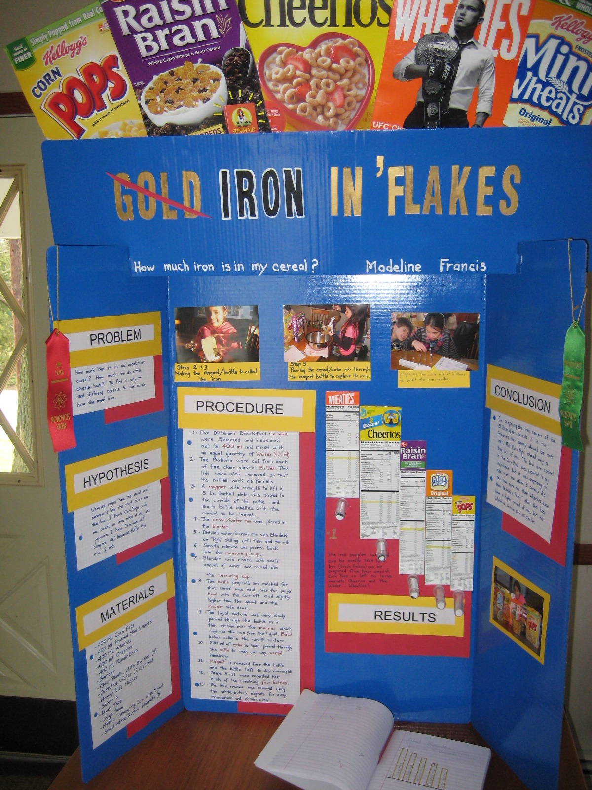 6th grade science fair project research paper