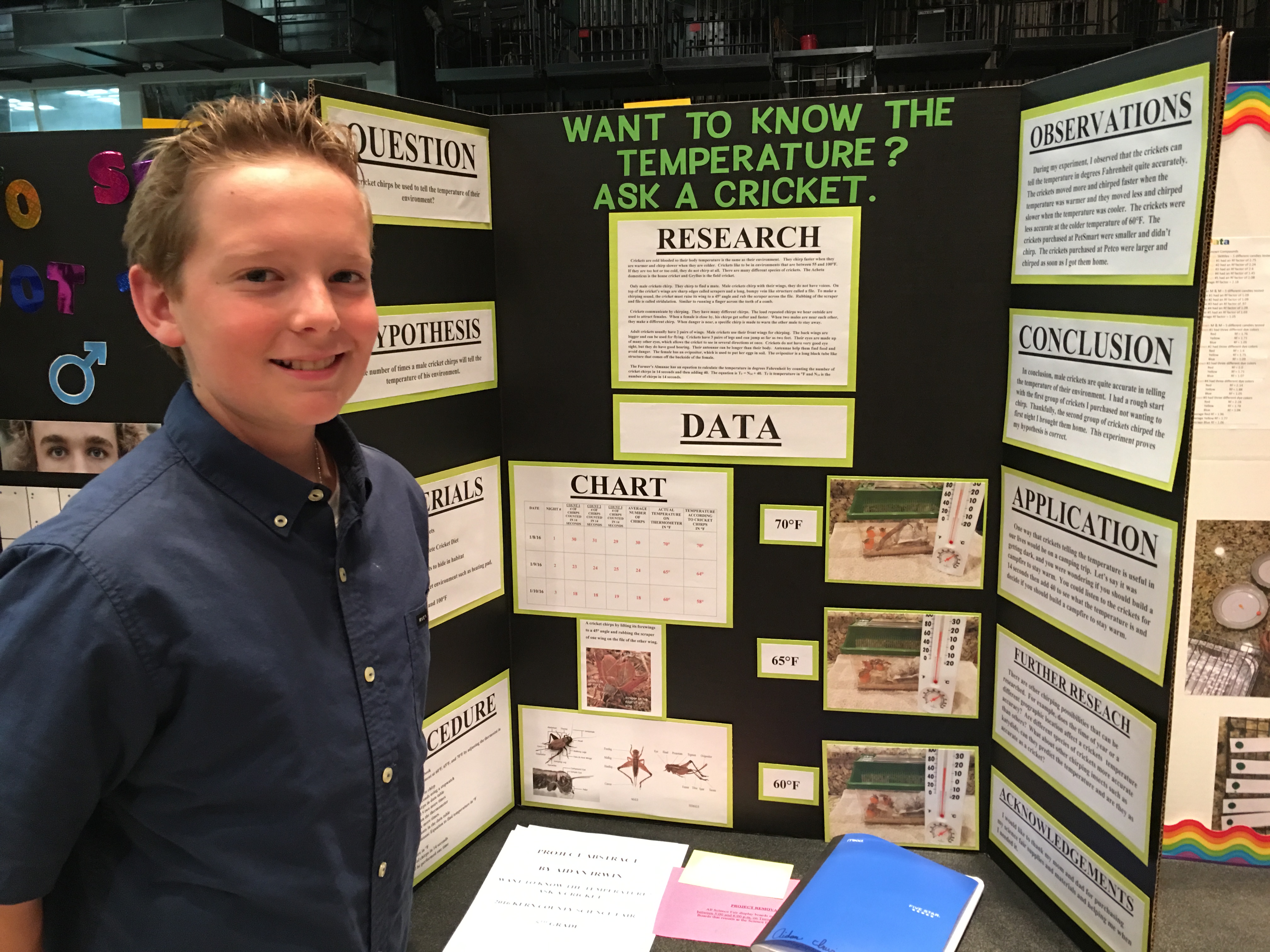 what to do a project on