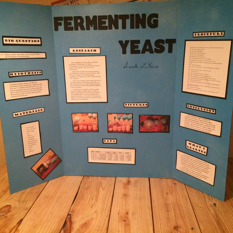 Yeasty Beasties Science Project