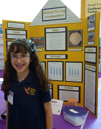 6th Grade Science Fair Project Ideas