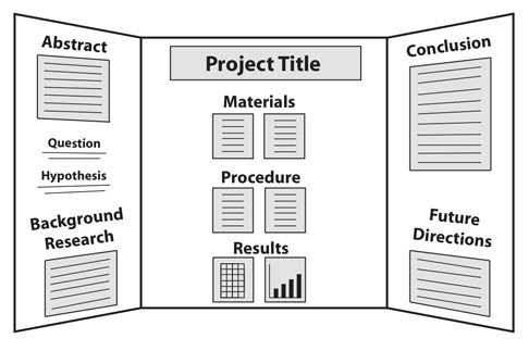 Science Fair Project Display Board Layout