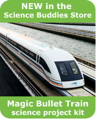 Magic Bullet Train