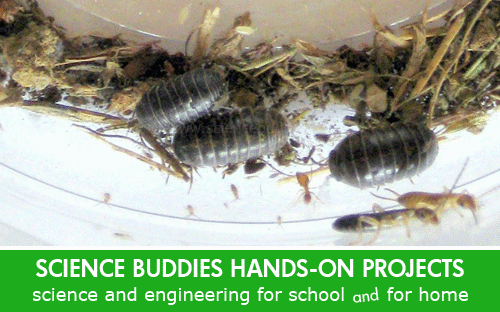 Home science research projects Home science research projects