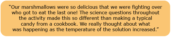 Marshmallow Family Science Activity Review