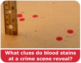 Science Project Spotlight - Blood stains and crime scene science