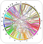 Big Data Science Projects