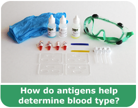 Blood typing science kit