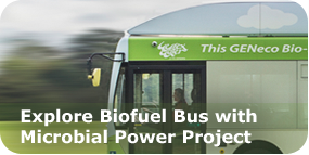 Biofuel Bus