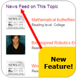 News Feed Feature