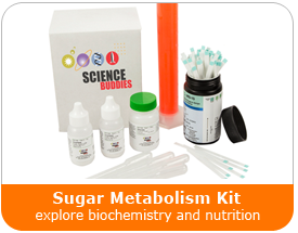 Sugar Metabolism Kit