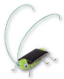 wish-grasshopper.jpg