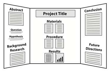 Science Fair Project Display Board Layout